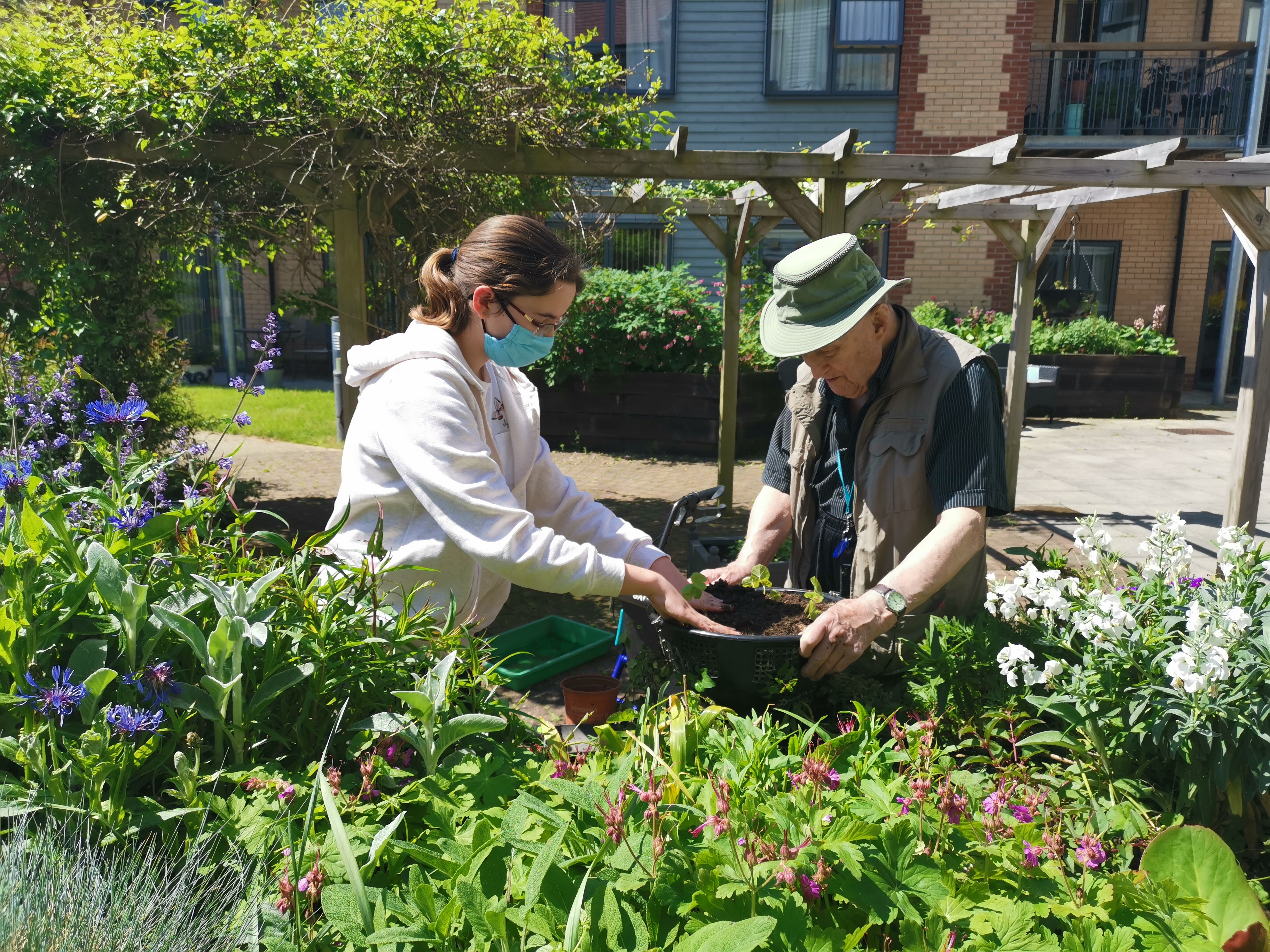 LawnStarter: The Basics of Vertical Gardening Image