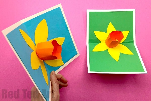 3D pop up daffodil card Image
