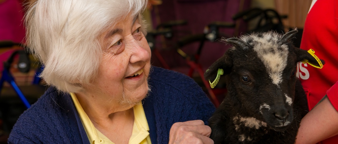 pratt house residents enjoy animal interaction