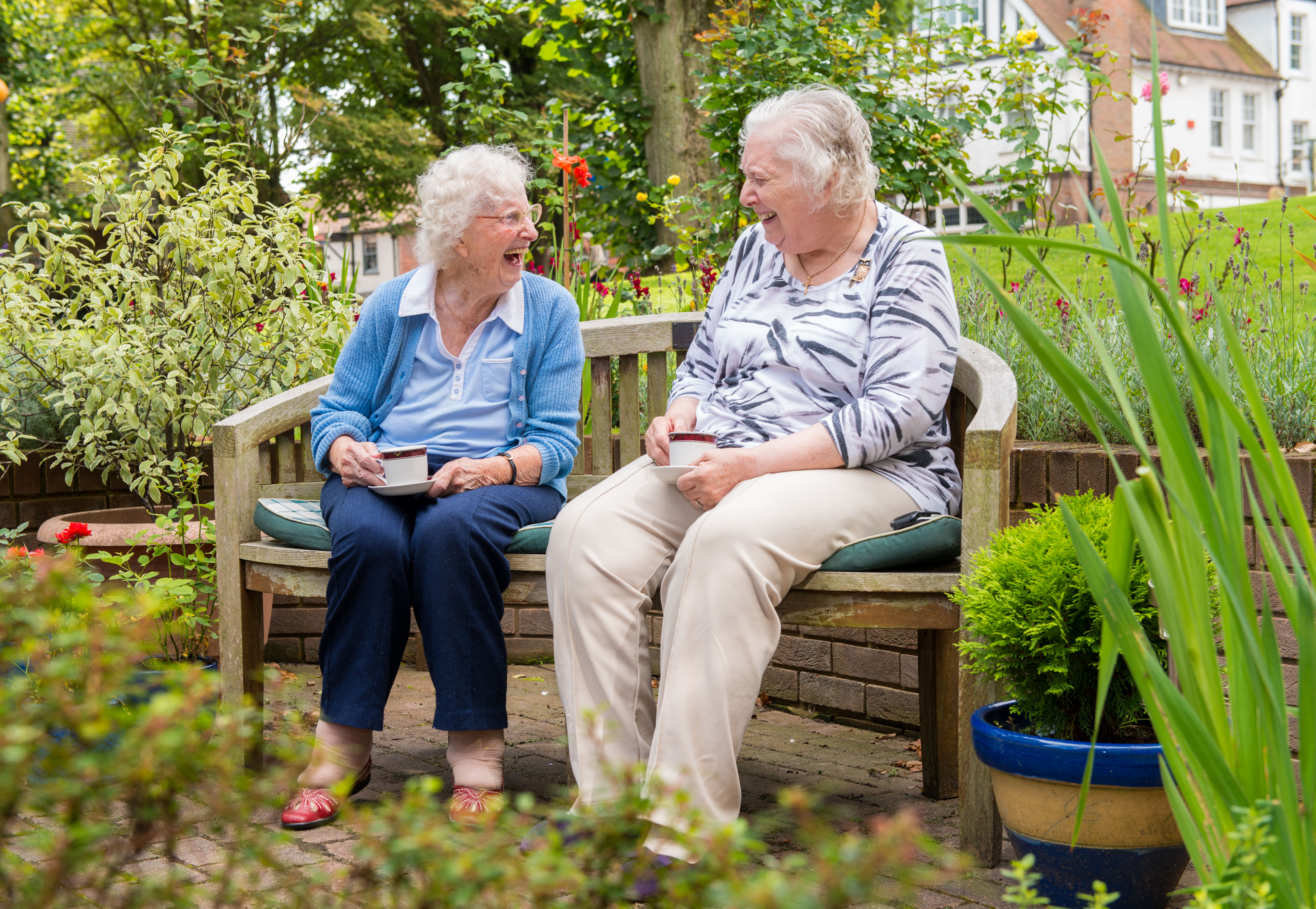 Sheltered Housing Advice: For older people and their families Image