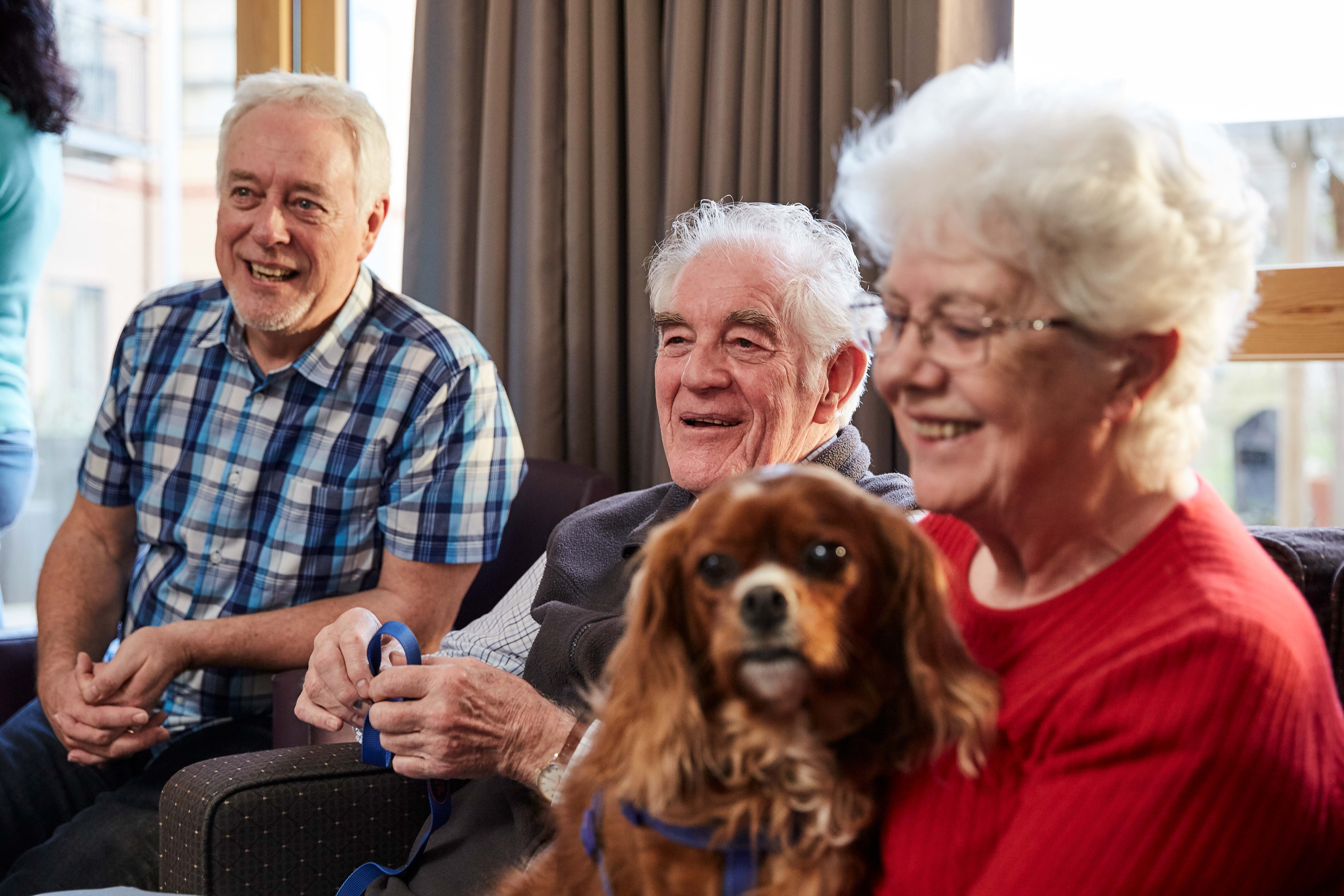 The benefits of pets in older age Image