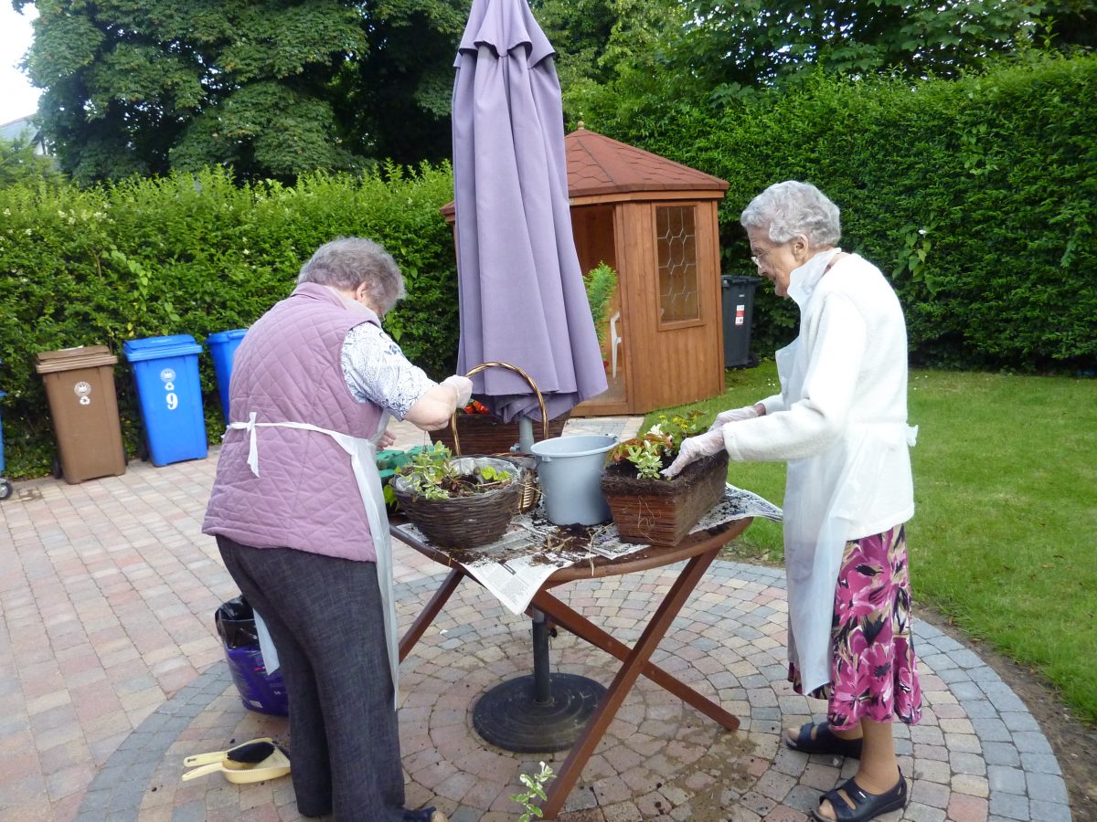 Top gardening tips from green-fingered experts Image