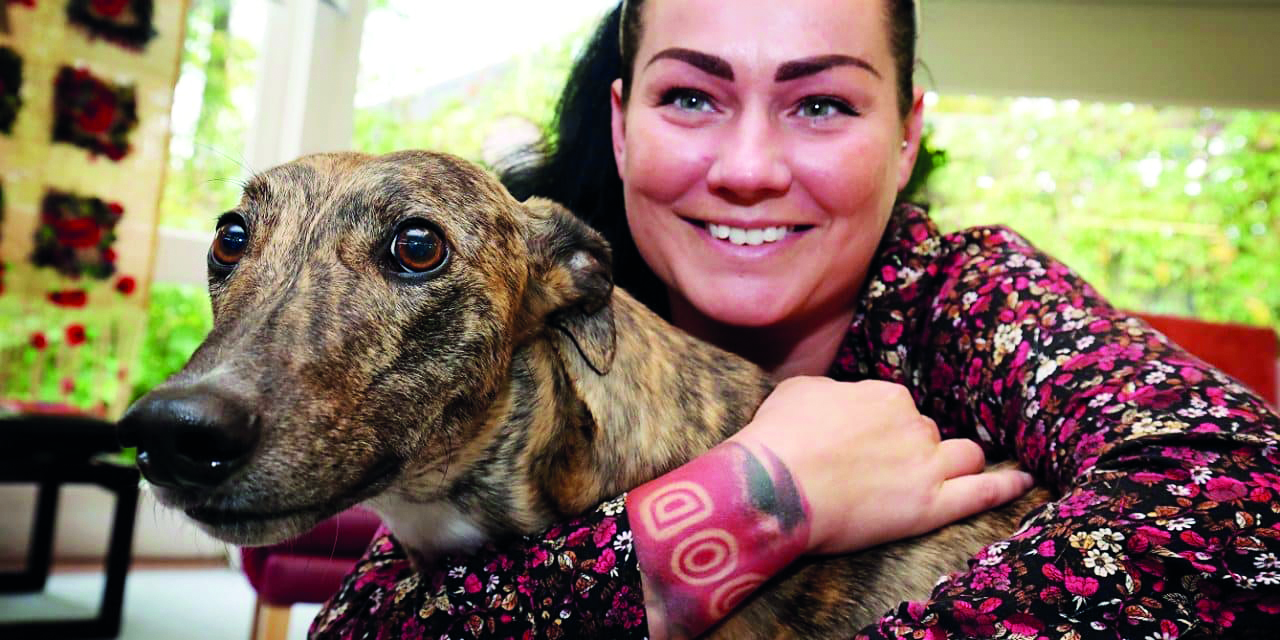 Good boy Flash praised for making a real difference Image