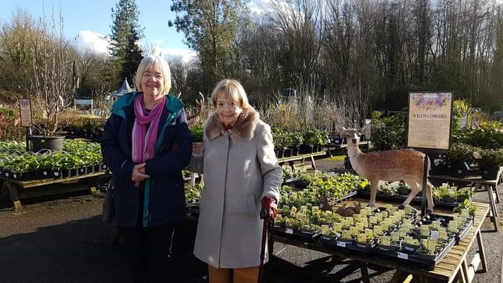 Cathy's Volunteer Story Image