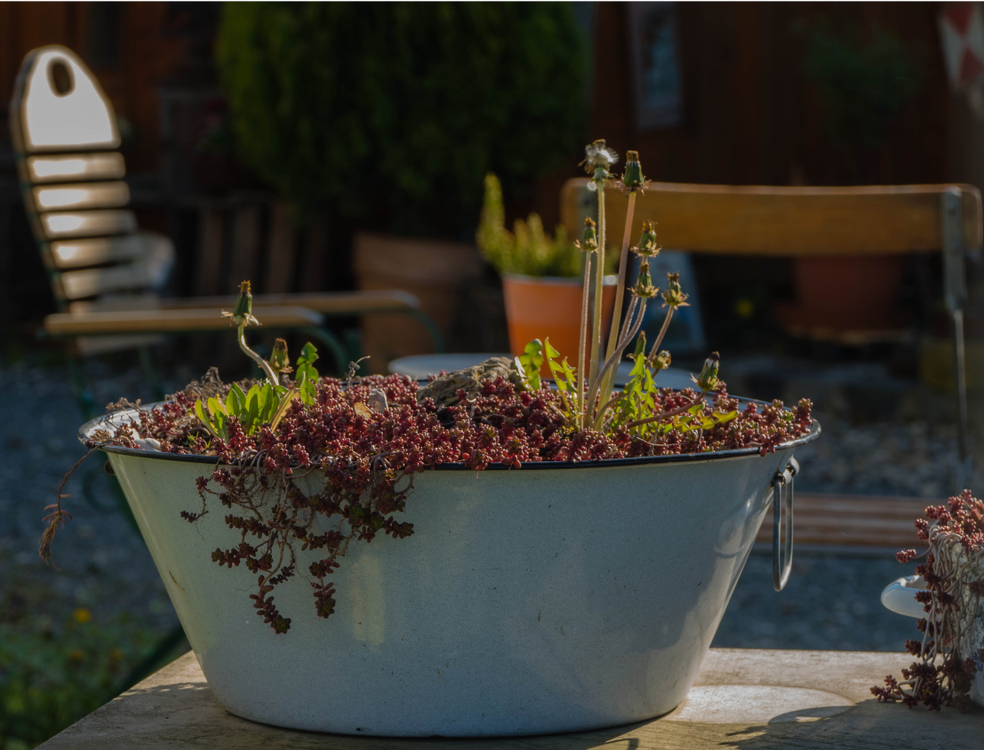 How to upcycle your garden furniture Image