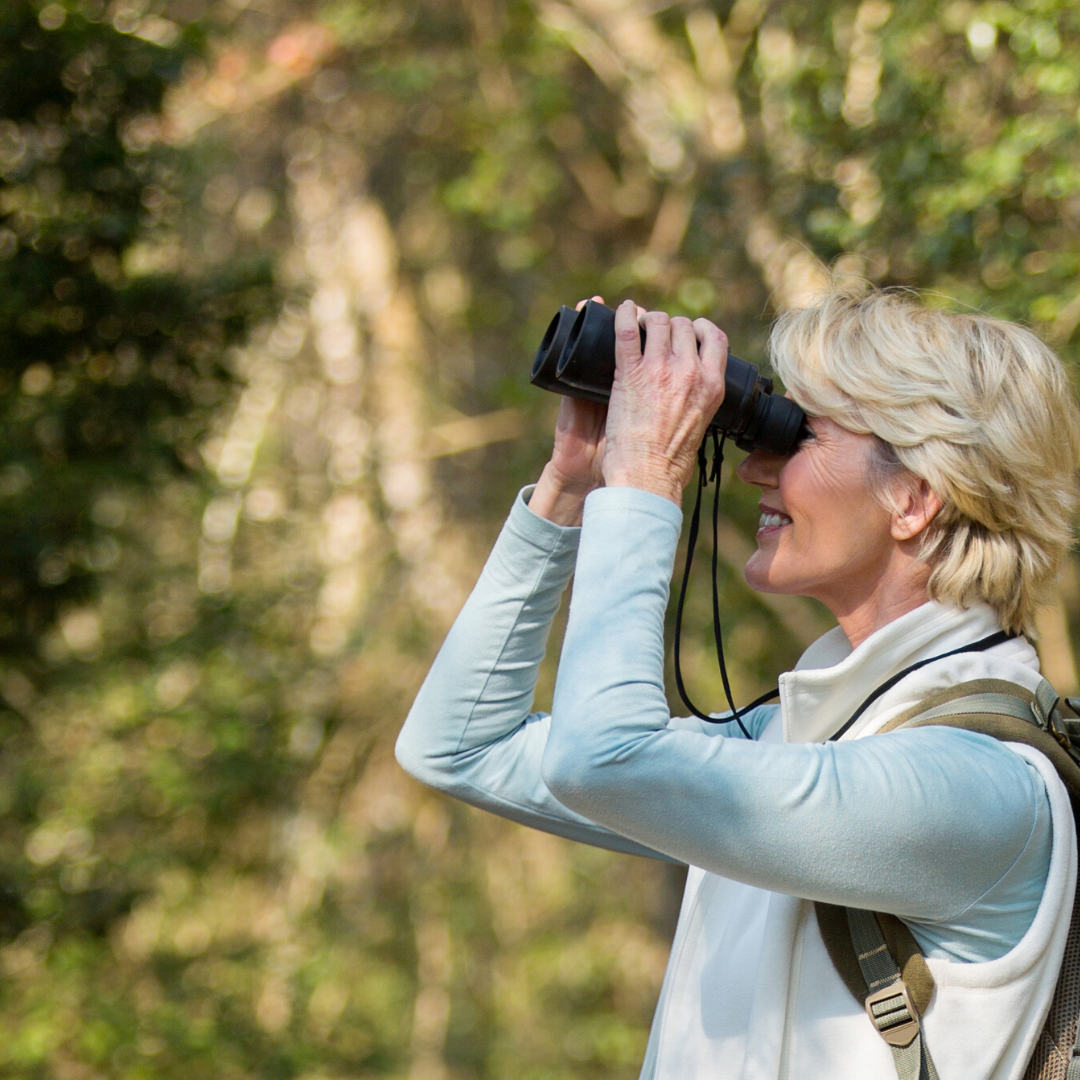 Bird Watching Bingo Image