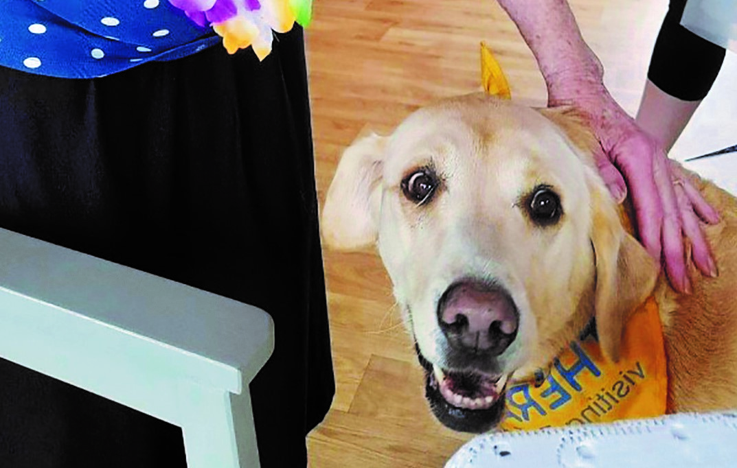 Woody says “Howdy!” to Winnersh residents Image