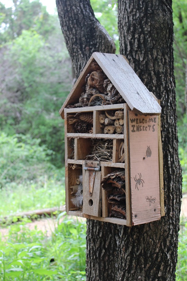 Build a Hotel for Bugs Image