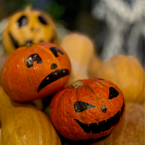 Paint a Pumpkin Image