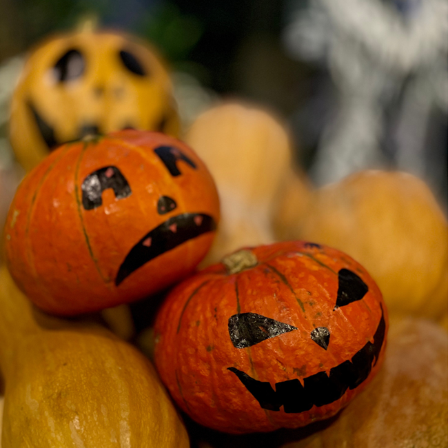 Paint a Pumpkin Image