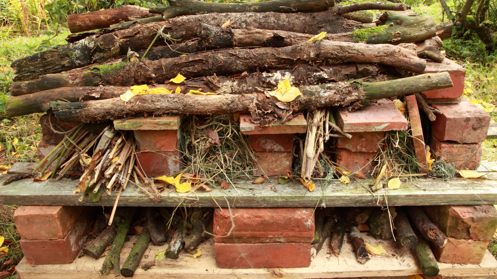 Bug Hotel Image