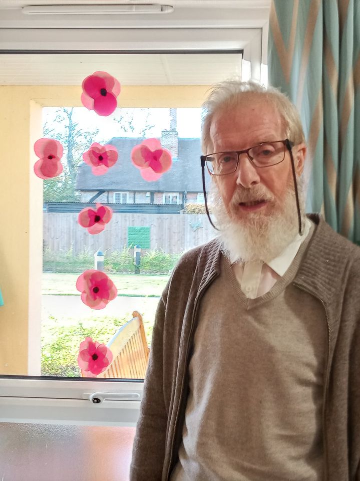 Speedwell Court residents created window displays Image